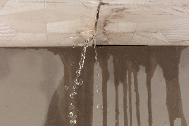 Professional Structural Drying technician working in Milford, TX